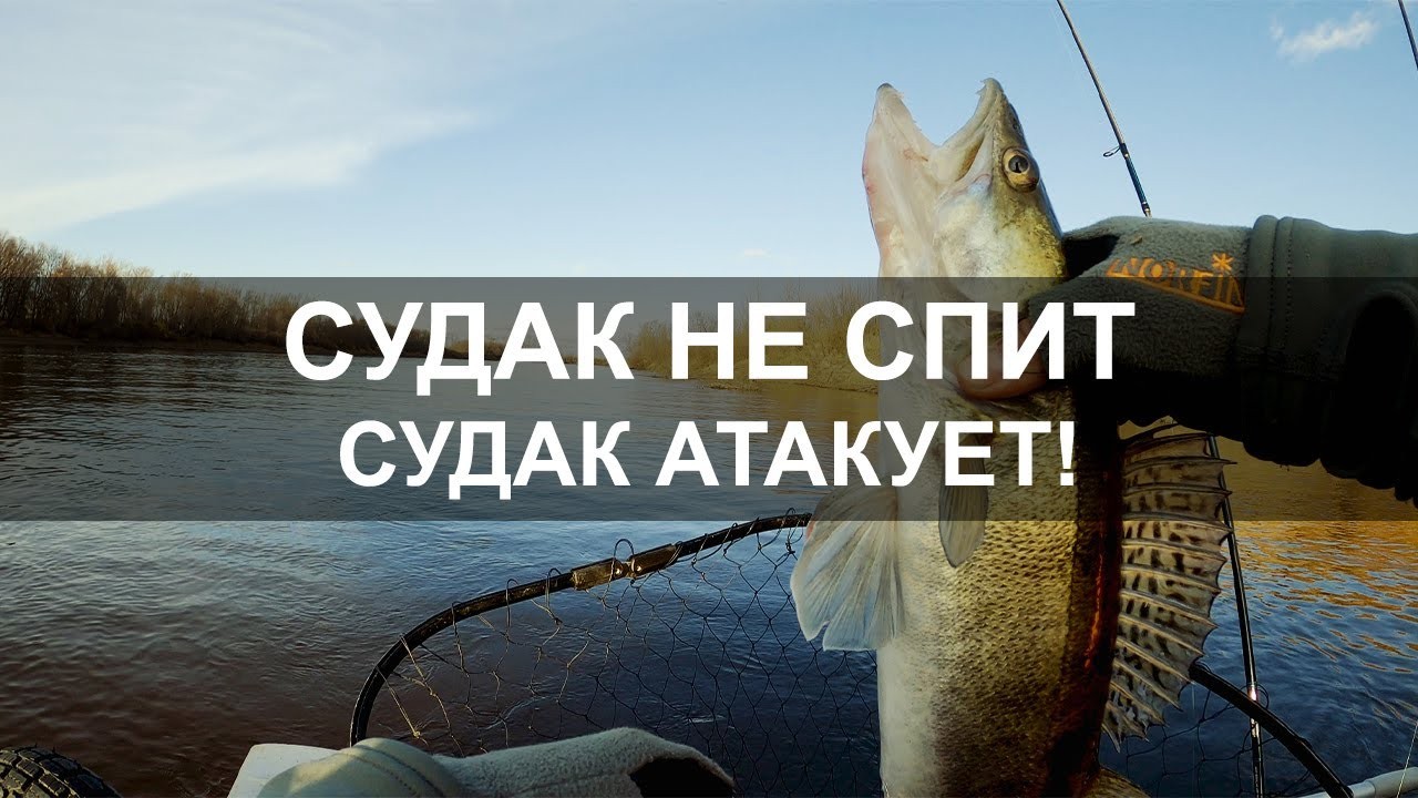 Снова попали на клёв СУДАКА! Рыбалка в Тюмени. Рыбалка 2020.
